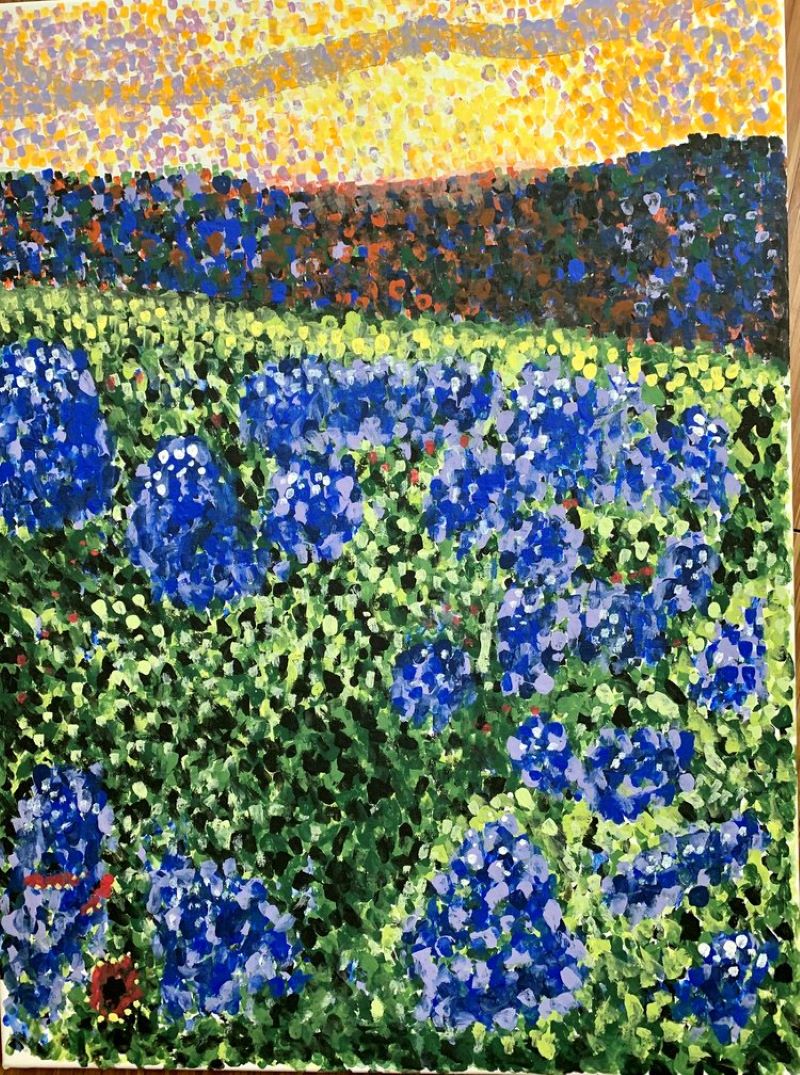 A field of bluebonnets